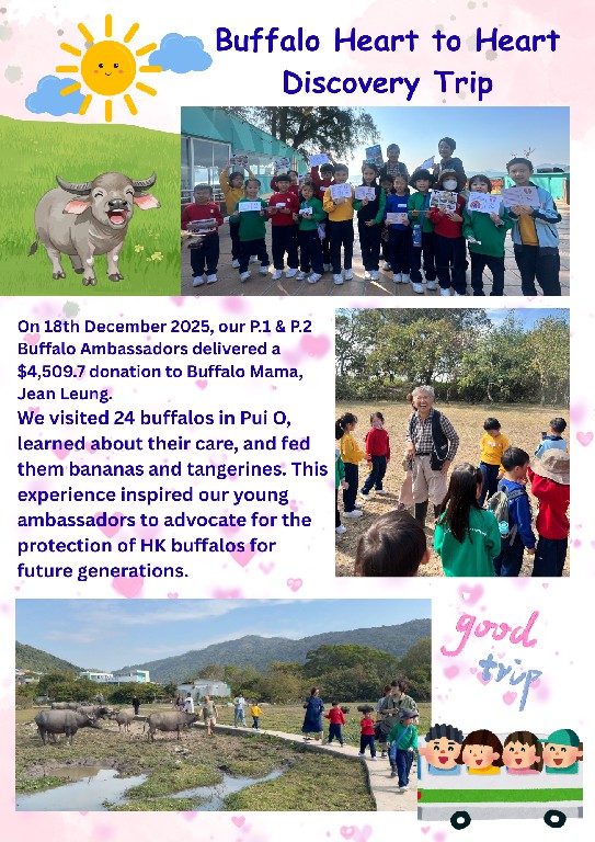 Buffalo heart to feart discovery trip Checked