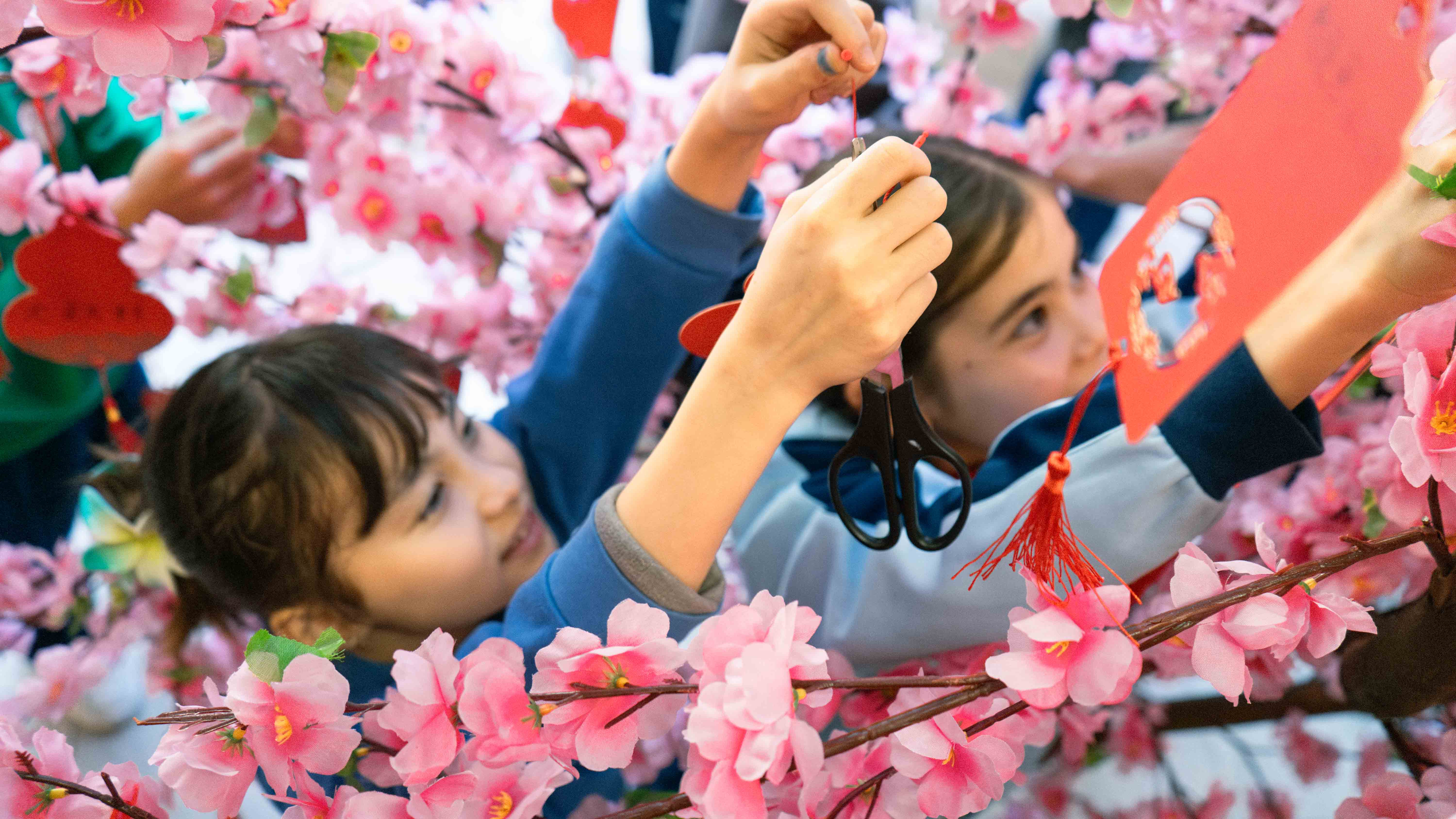 DSC05300 已增強 雜訊減少