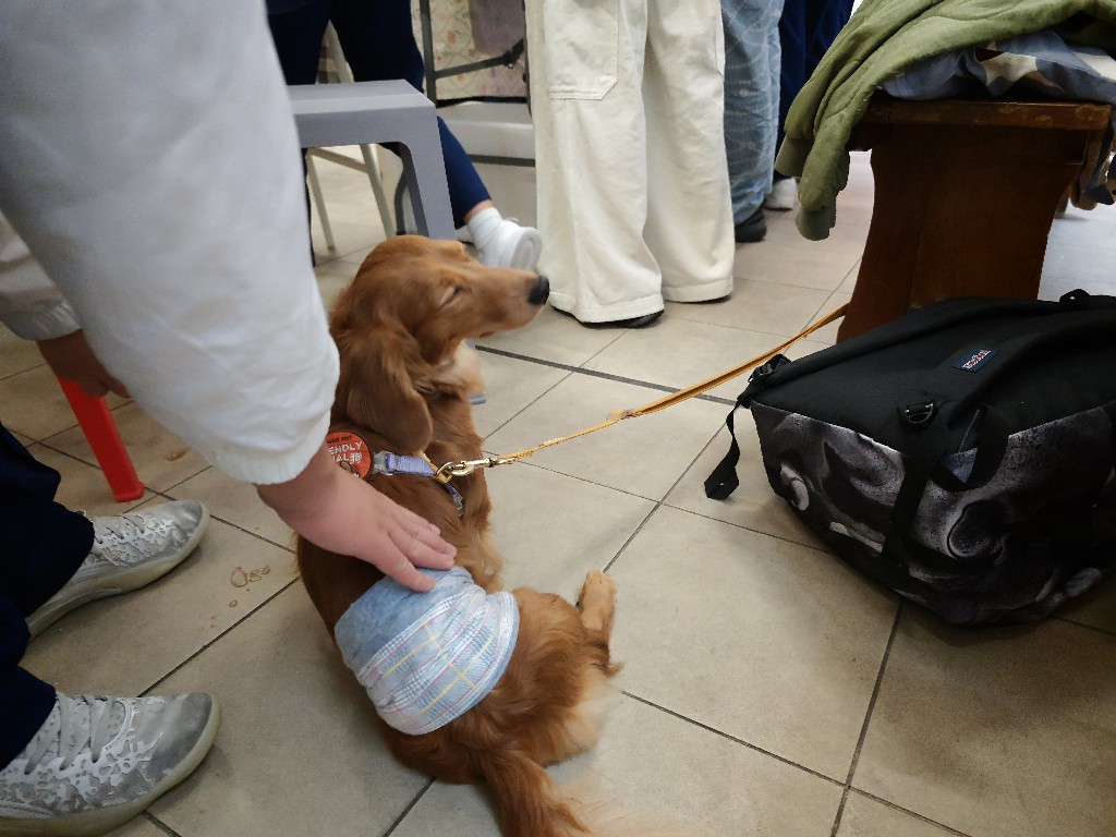 IMG 20260207 140121039 BURST6