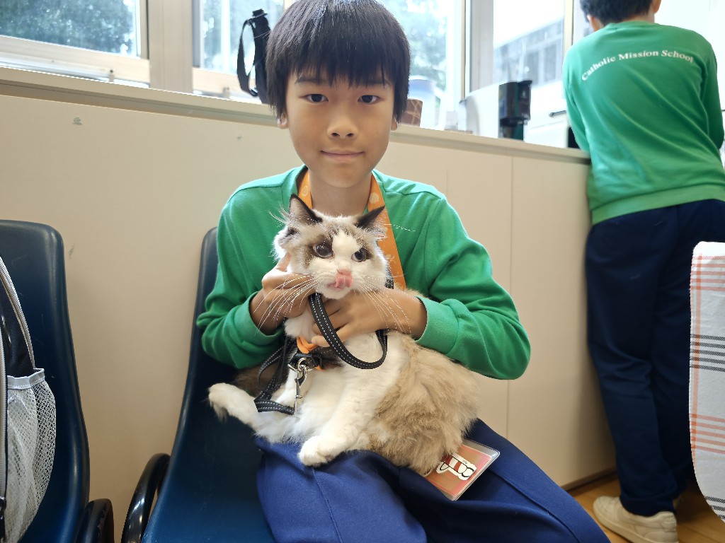 IMG 20260207 143526344 BURST20